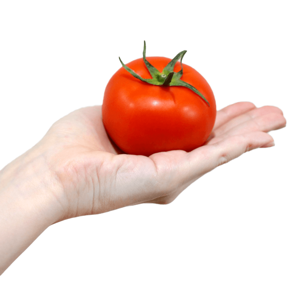 トマトを持つ手