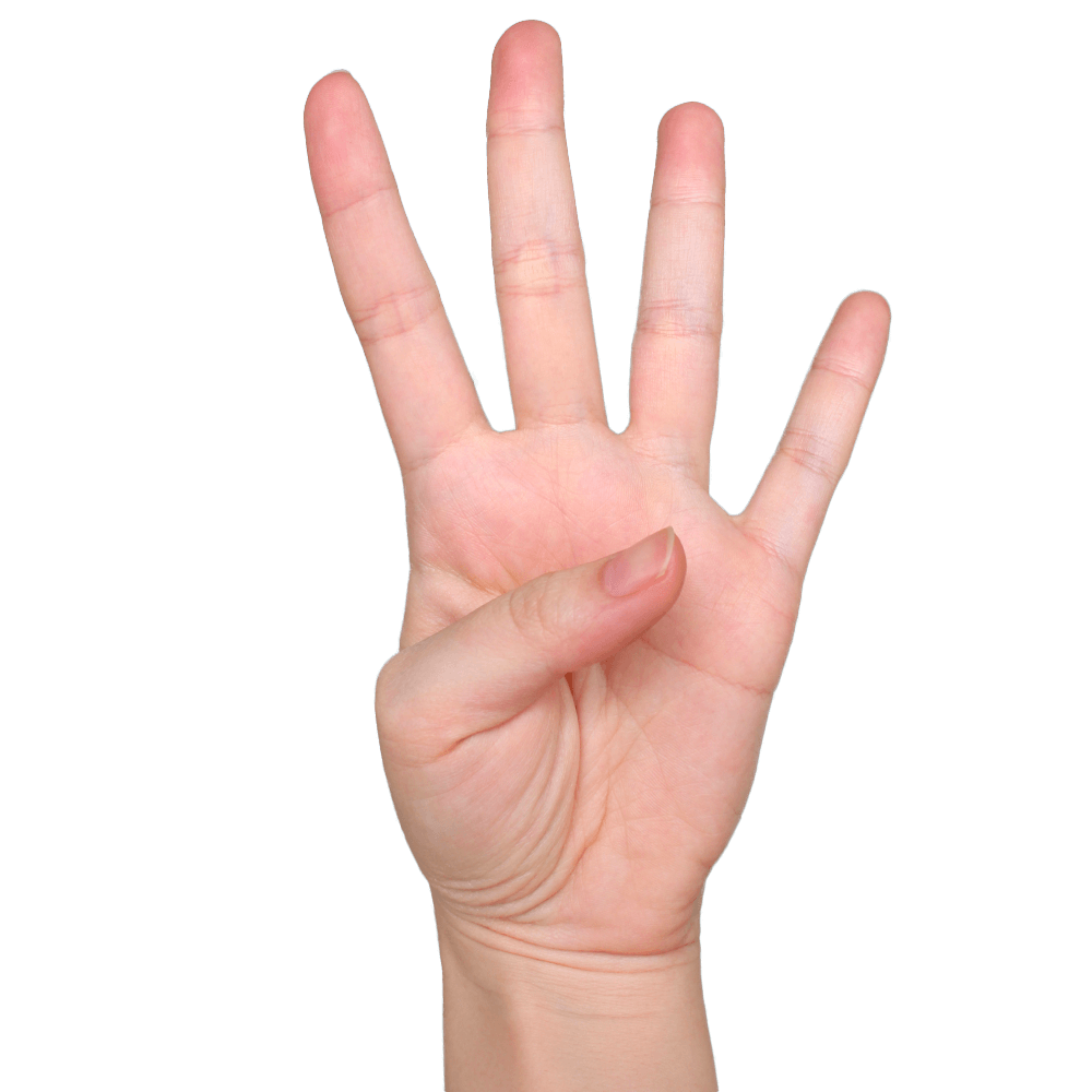4本指の手