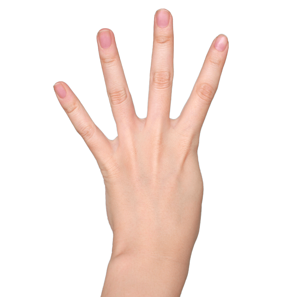 4本指の手