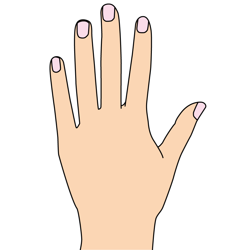 開いた手 Otete Picture